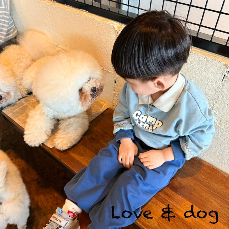 사진 2