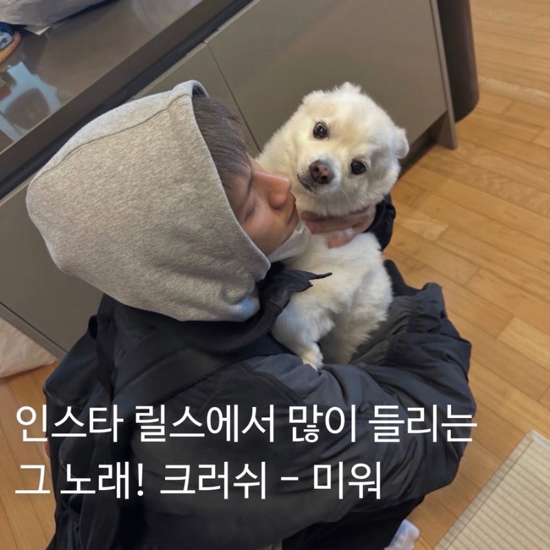 요즘 인스타그램 릴스에서 자주 들리는 노래 | 크러쉬 미워 가사 및 노래 정보