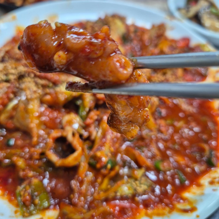  [전남 목포] 목포역 앞 불맛가득 낙지볶음 맛집 <금강뻘낙지장어요리전문점>