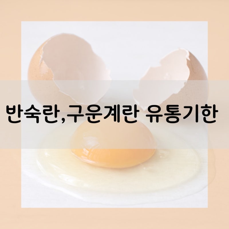 편의점 반숙란 유통기한 냉장보관 필수? 구운계란 실온 보관 기간 총정리