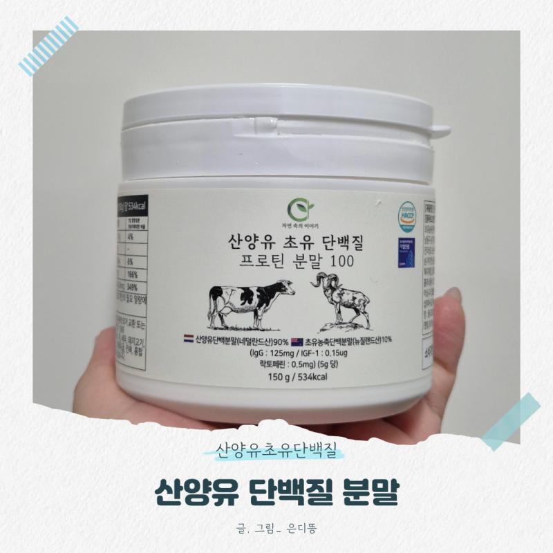 산양유초유단백질 간편한 분말로 섭취가능