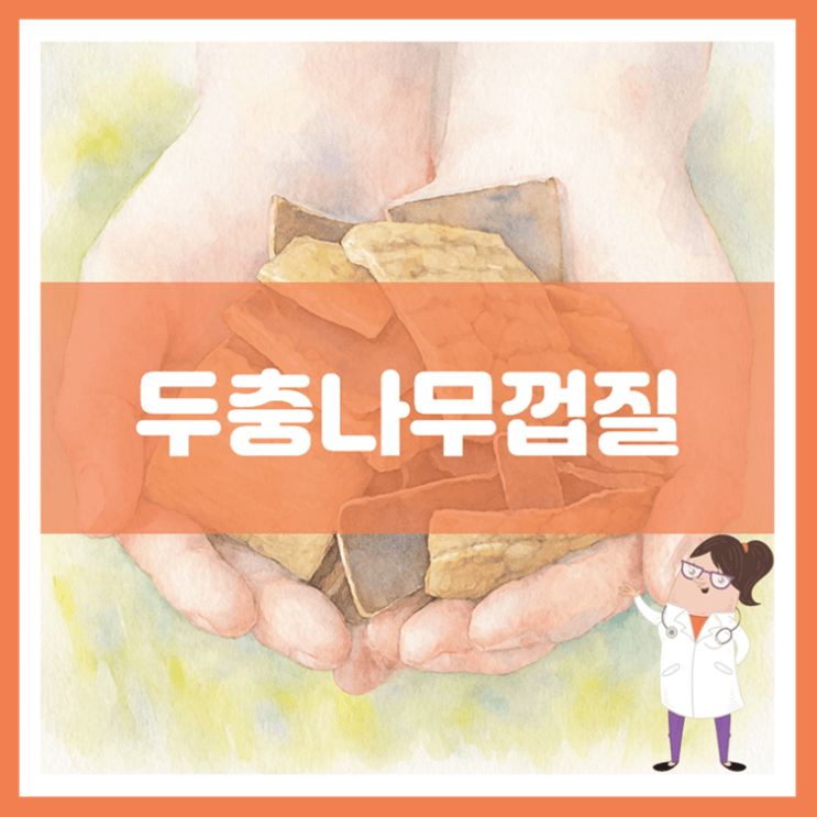  두충나무껍질 효능 부작용 먹는 방법
