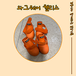 와그웨어 웰리스 강아지 신발 후기 | 사이즈 팁 꼭 읽고 사세요! (내돈내산)