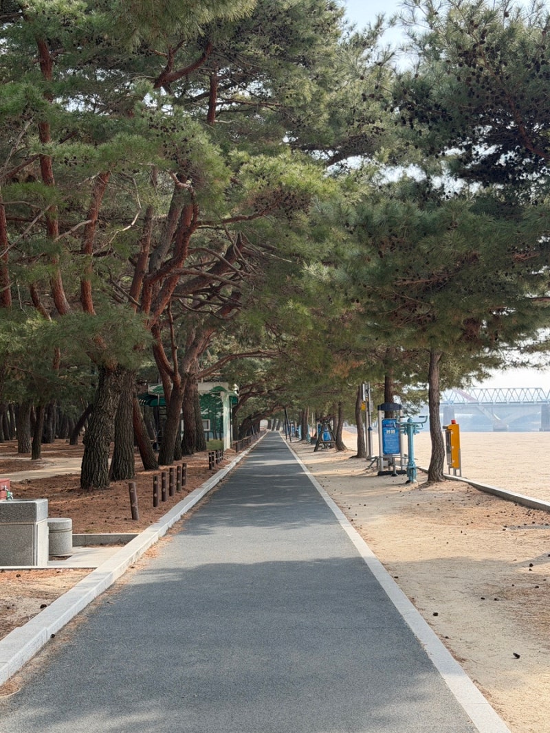 사진 7