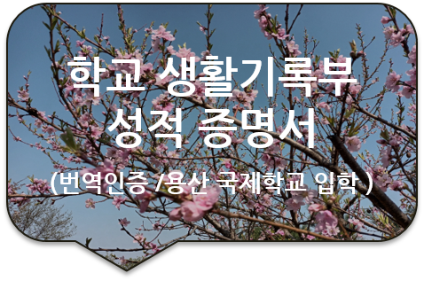 서울 용산 국제학교 입학서류, 학교생활 세부사항 기록부 [학교 성적증명서/생활통지표] 영문번역