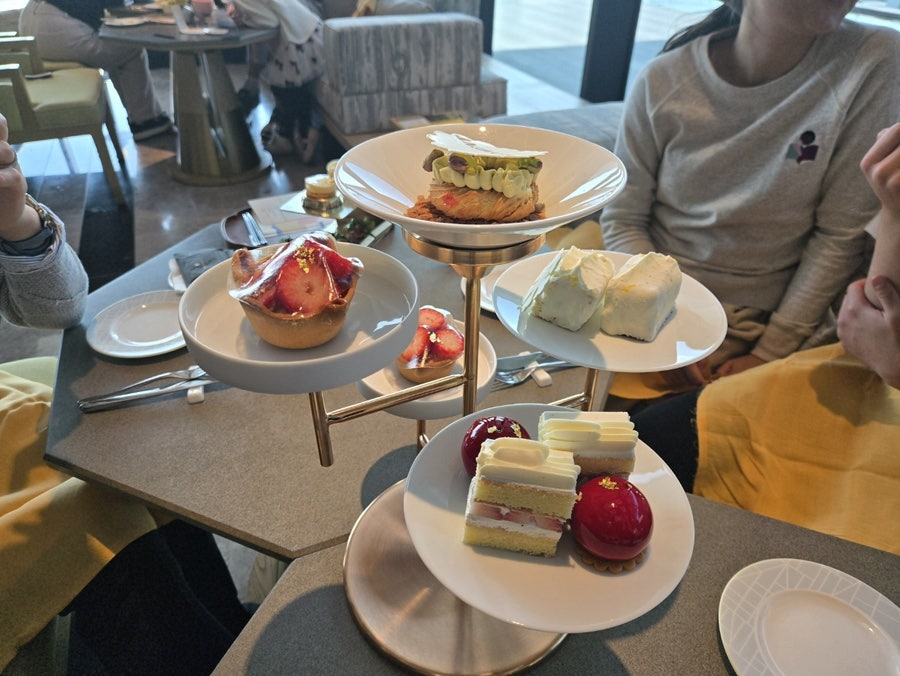 시옽 사진 4