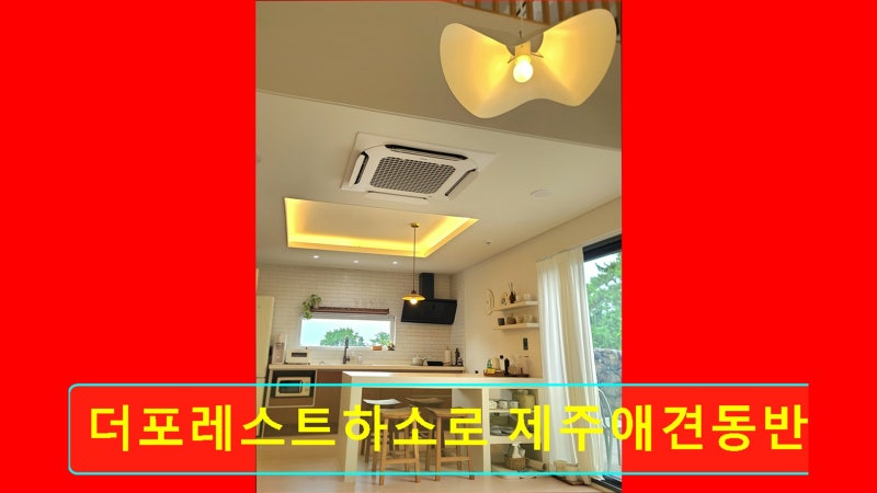 사진 4
