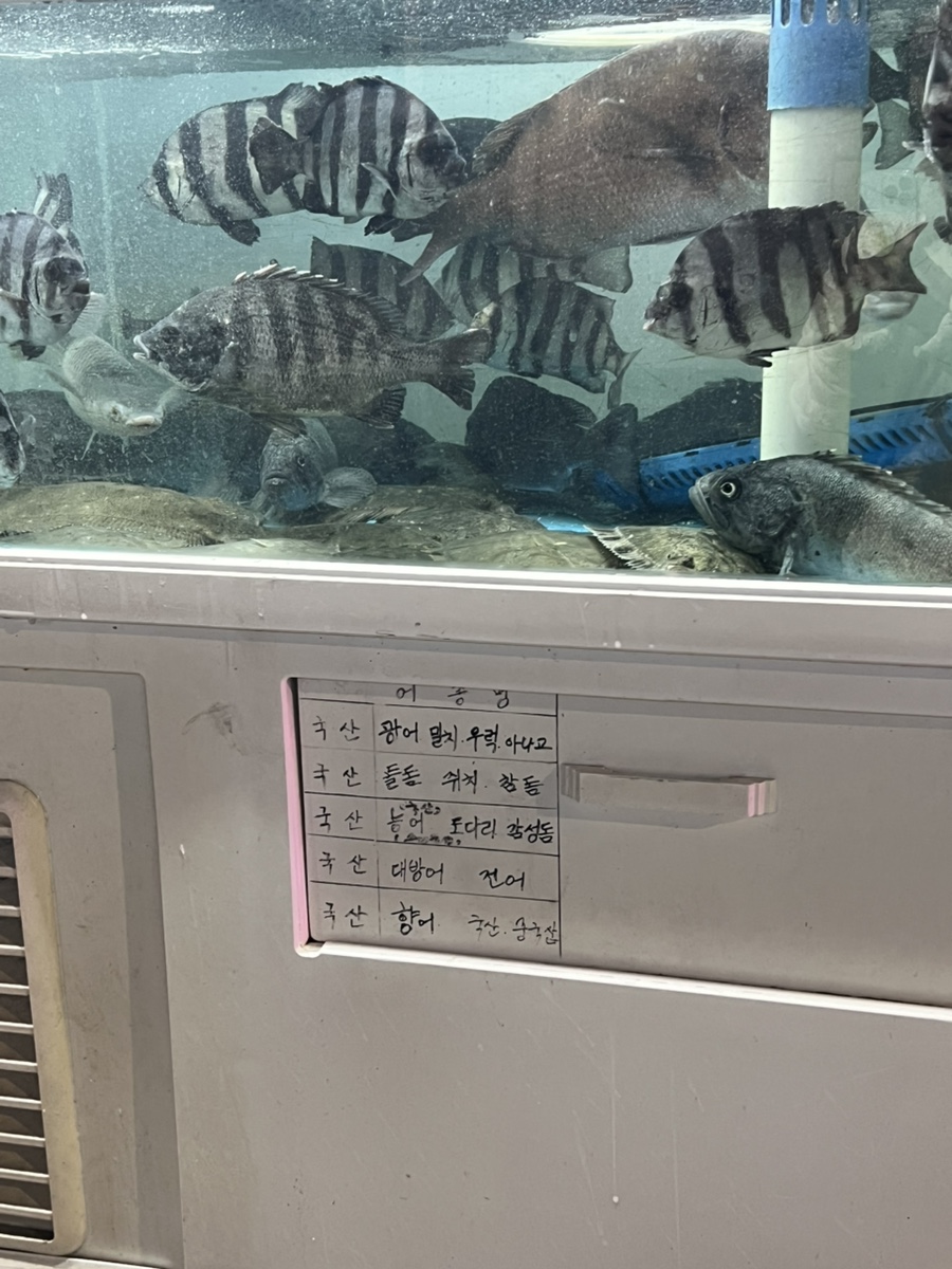 아리횟집 사진 3