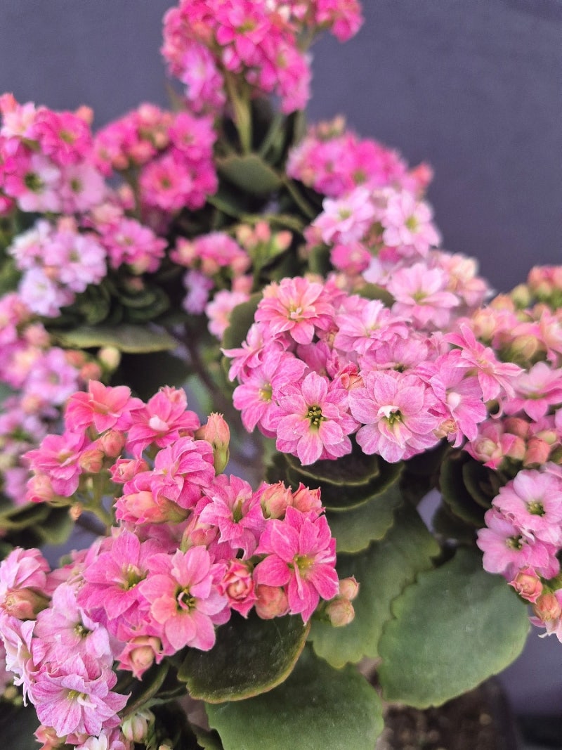 사진 6