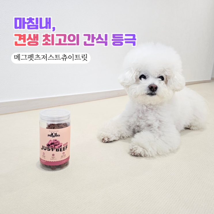  [메그펫츠저스트츄이트릿] 강아지간식저스트츄이트릿, 뚜껑 열자마자 돌격한 3가지 이유! 