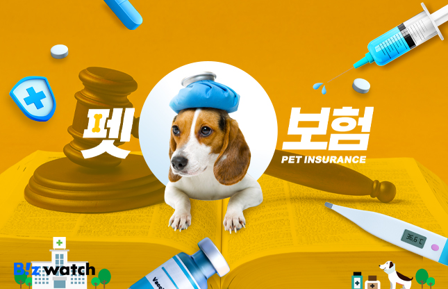 [펫보험] 고양이 병원비 수천만 원? 반려견·반려묘 보험 가입전 필수 확인사항