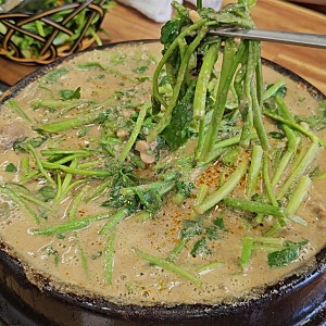 광주 오리탕맛집 브레이크타임 없는 영양오리탕 솔직후기