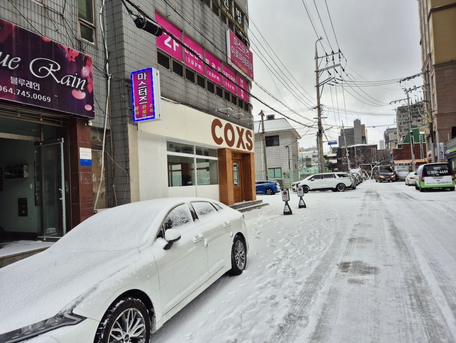 콕스 사진 1
