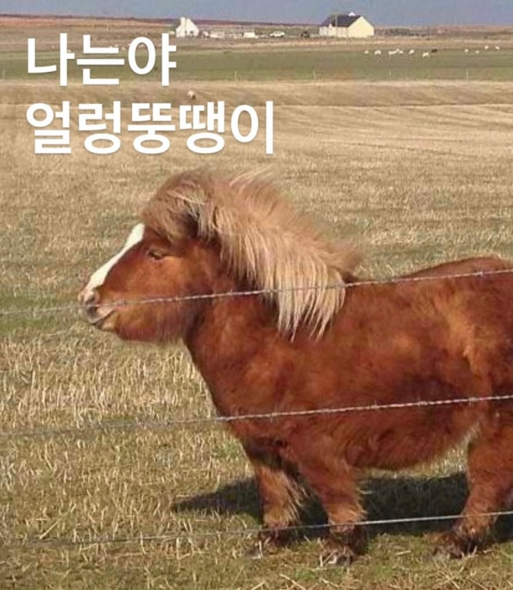  2025년 10월 일상 (2)