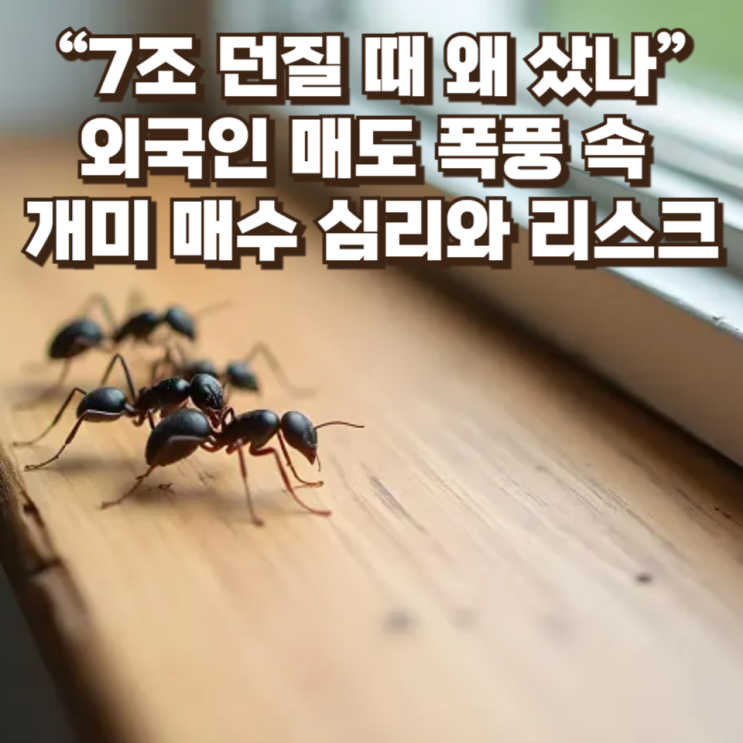 “7조 던질 때 왜 샀나”…외국인 매도 폭풍 속 개미 매수의 심리와 리스크