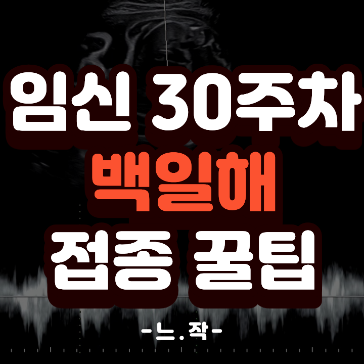  [임신30주 백일해] 병원보다 싸게? 건강보험심사평가원 조회 방법 (역아 돌리기/정기검진)