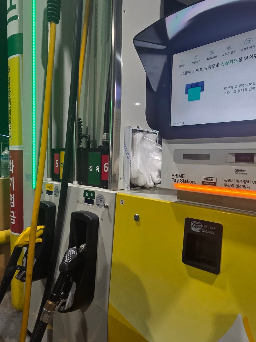 천년지기 사진 5