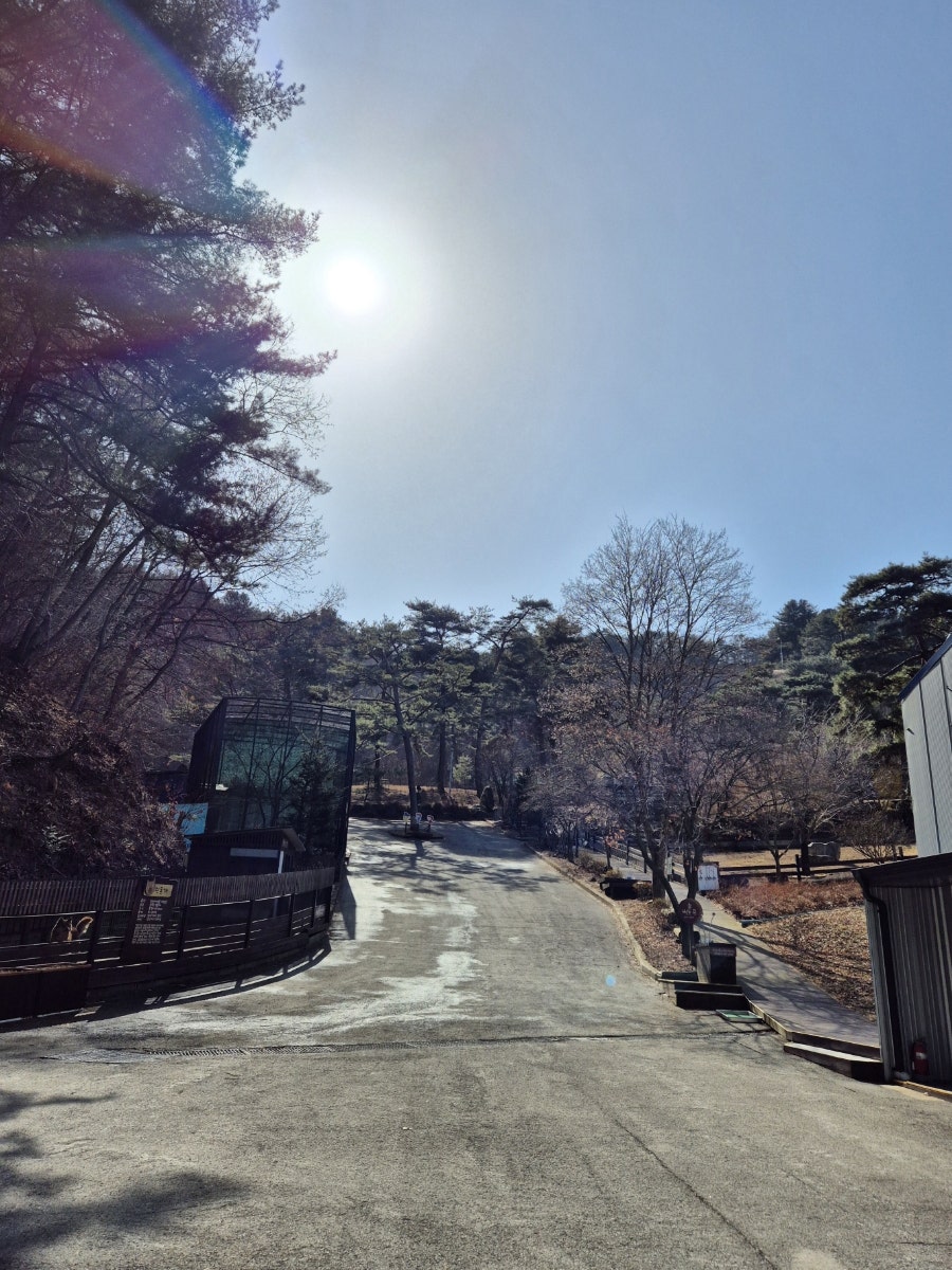 청성애원우루루동물농장 사진 5
