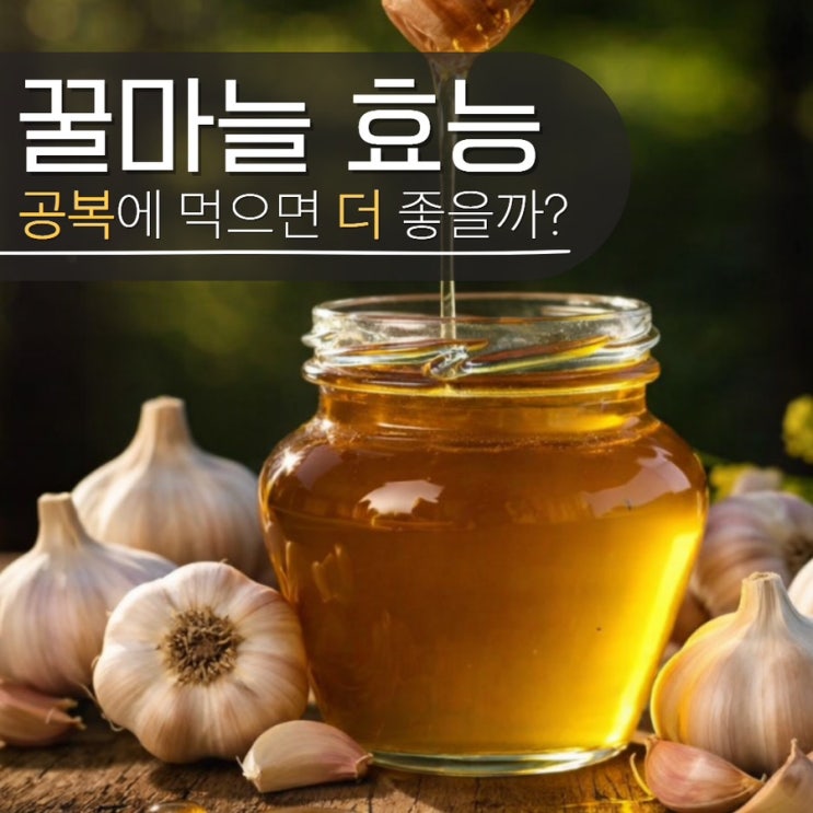  꿀마늘 효능 먹는법 공복? 만드는법