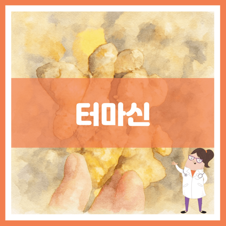  터마신 효능 섭취방법 부작용