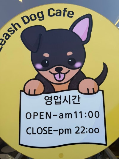 사진 9