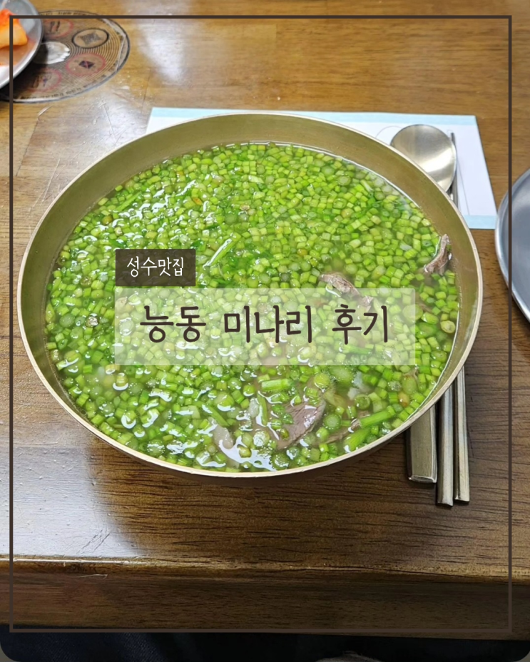  성수동 맛집 능동미나리 웨이팅 솔직후기 미나리곰탕 가격 맛 총정리