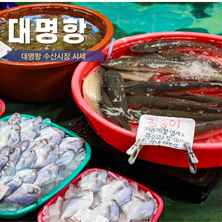  김포 대명항 수산시장 영업시간 대명항 꽃게 회 시세