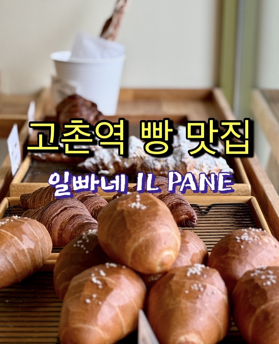 일빠네 사진 1