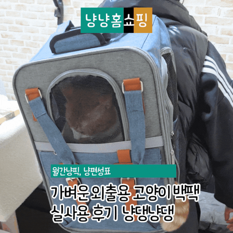  가벼운 외출용 고양이 백팩 실사용 후기 냥댕냥댕