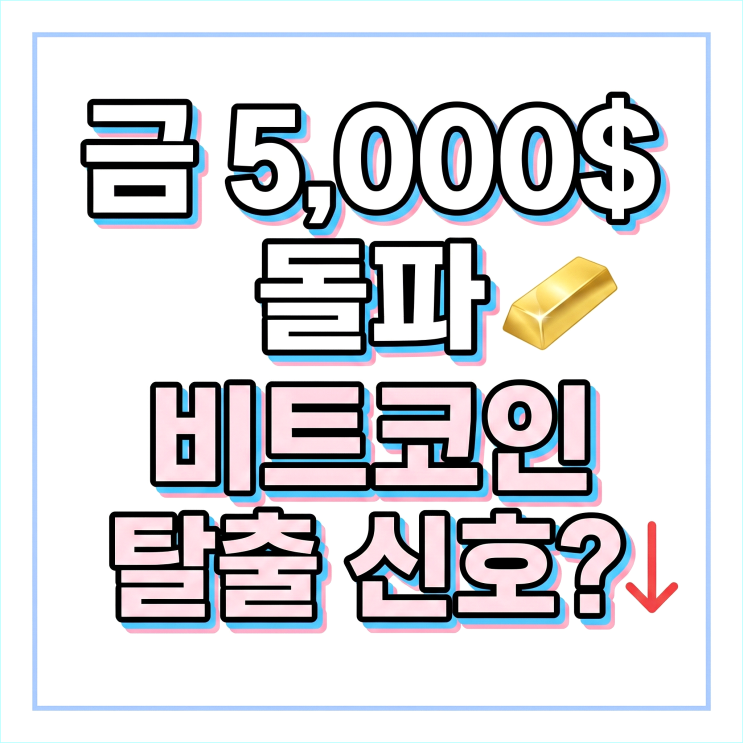  금 5,000달러 돌파와 비트코인 6만 달러 붕괴, 지금 안전자산 갈아타야 할까?