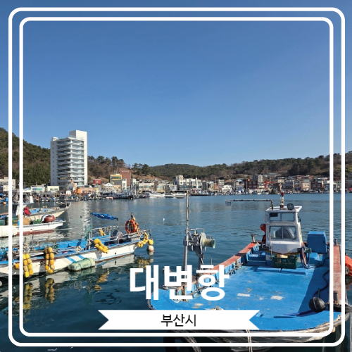  [대변항] 분위기 있고 운치 있는 부산 기장읍의 항구