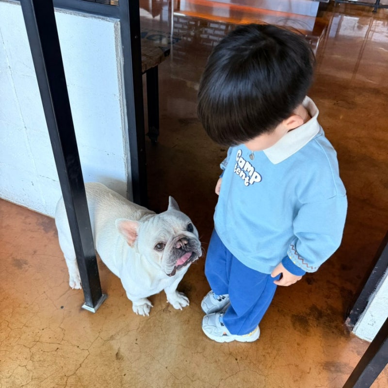 러브앤독스튜디오