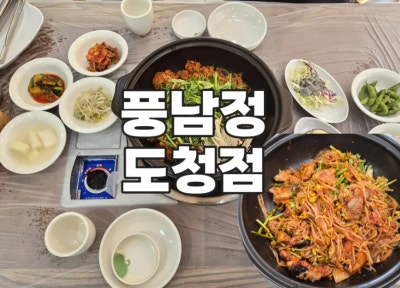 전주 도청 아구찜 맛집｜풍남정 도청점 순살아구찜 후기