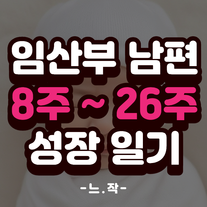  [임산부남편일기] 8주부터 26주 폭풍 성장기! (feat. 젠더리빌 & 임당검사 통과)