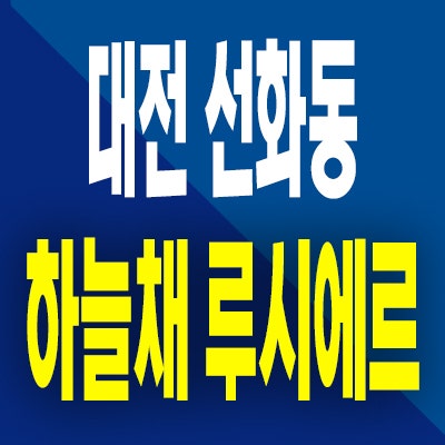  대전 선화동 하늘채 루시에르 2차 분양가 미분양아파트 선착순 잔여세대