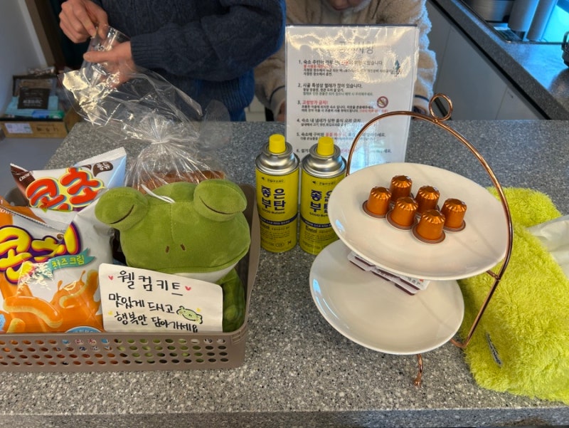 함안 프로그타운_개굴개굴