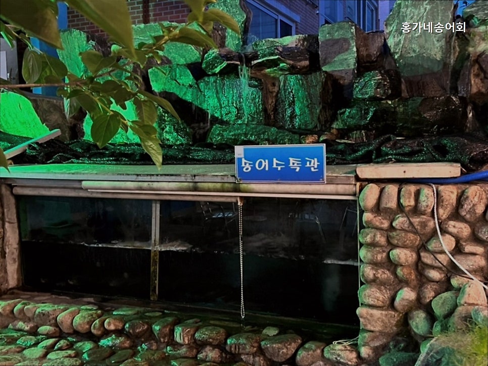 홍가네송어회 사진 4