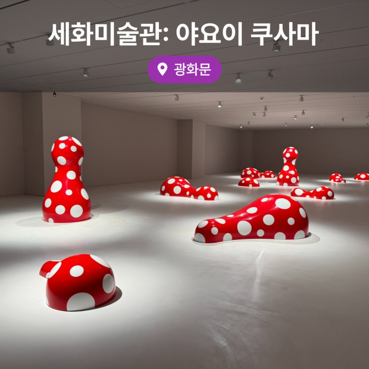  서울 핫플 무료 전시회 광화문 세화미술관 야요이 쿠마사