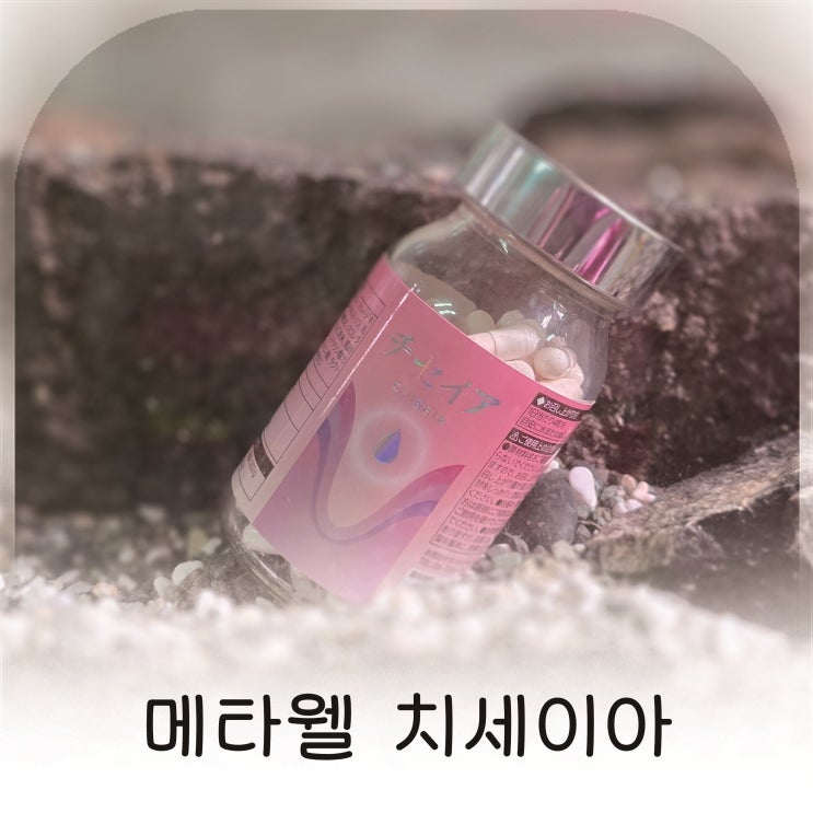  3개월 꾸준히 먹은 여성 유산균, 메타웰 치세이아 질건강 관리 루틴