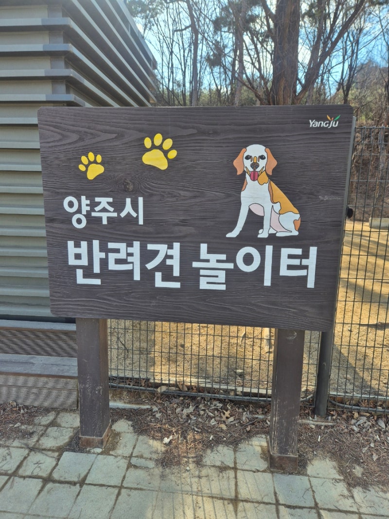 사진 5