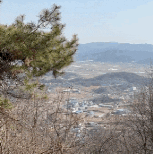 ⛰ 안성 비봉산 C코스 등산후기 솔직리뷰 (난이도·소요시간·정상뷰)