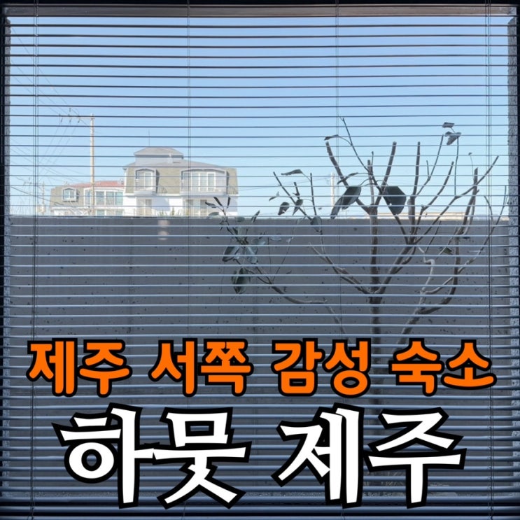  제주도 독채 숙소 하뭇 제주 | 한림읍 감성 숙소 아이와 함께한 후기