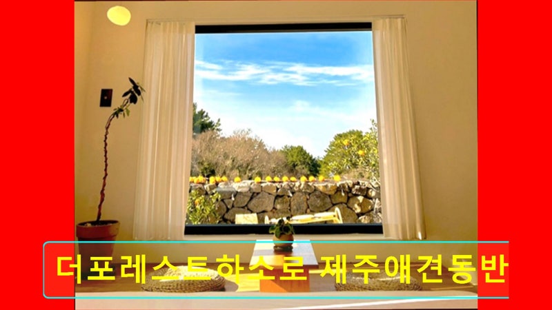 사진 3