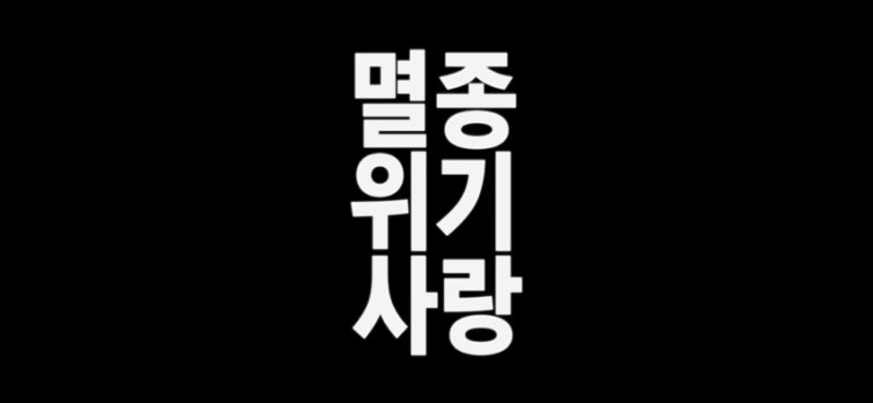 2026년 한국대중음악상 올해의 노래: 이찬혁 멸종위기사랑 리뷰, 가사, 뮤비