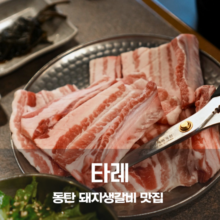  동탄 11자상가 맛집 타레 돼지생갈비 메밀소바
