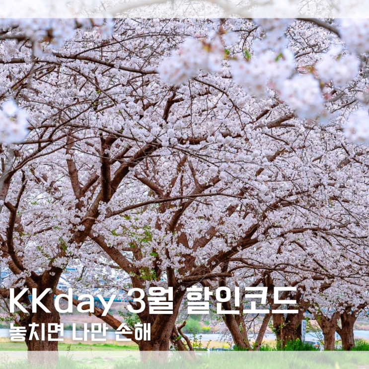  케이케이데이 KKday 3월 할인코드 할인쿠폰 사용 방법