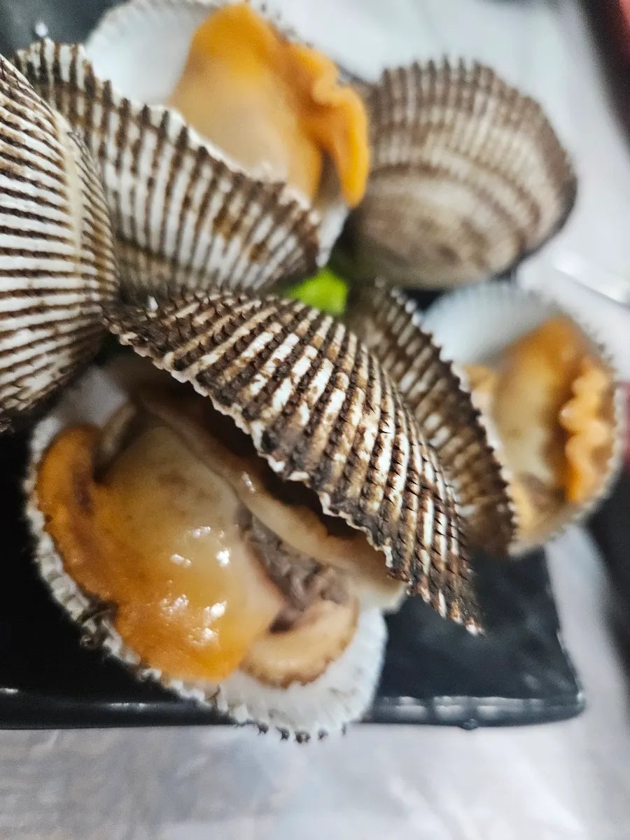 왕대박회수산 사진 6
