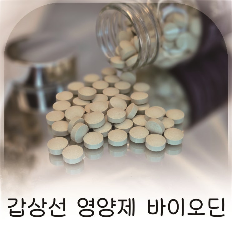  메타웰 바이오딘 갑상선 영양제 추천 3개월 루틴