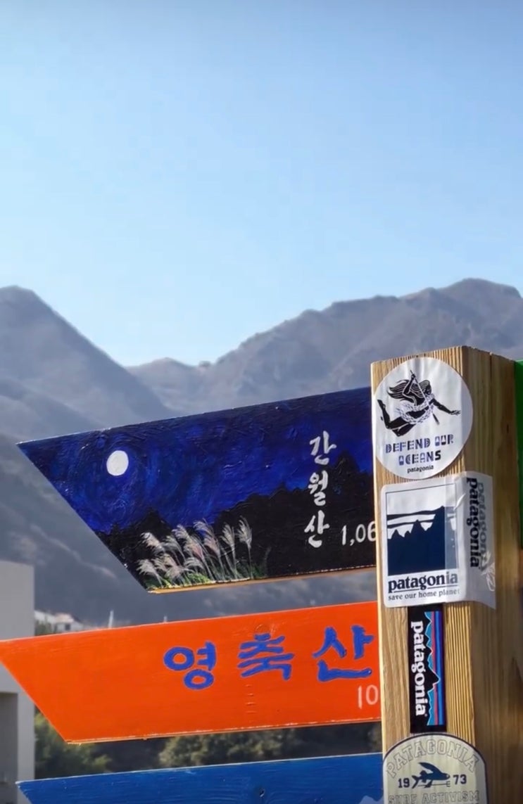  취향과 철학이 머무는 숲속 산장, 파타고니아 영남알프스점이 특별한 3가지 이유 (feat. 인증샷 맛집)