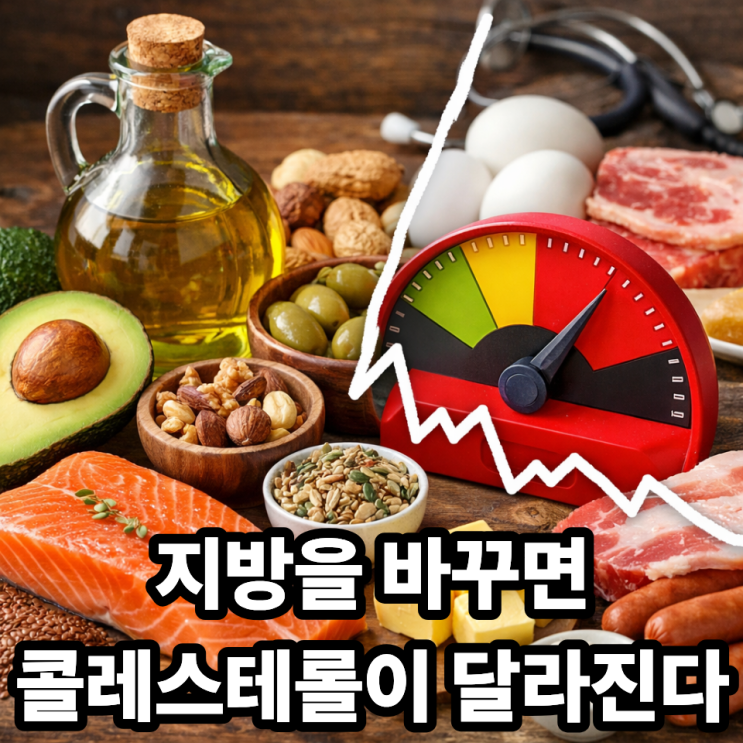  불포화지방과 콜레스테롤 수치의 관계, 제대로 알면 수치가 달라집니다